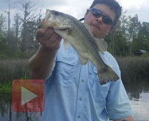 Watermeat Video Thumbnail