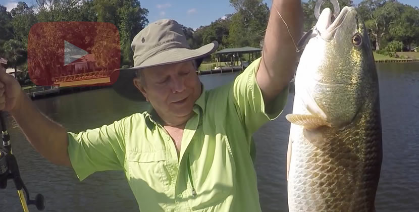 Dog River Fishing Video - Mobile, AL - Redfish - October 15th, 2016