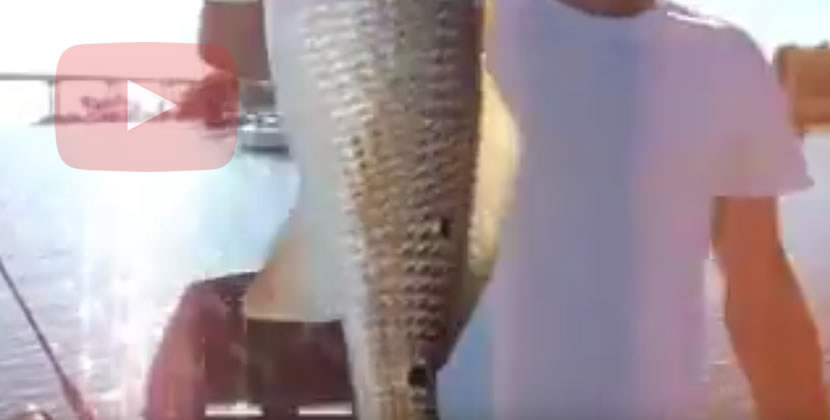 Dog River Fishing Video - Mobile, AL - Redfish - September 18th, 2010