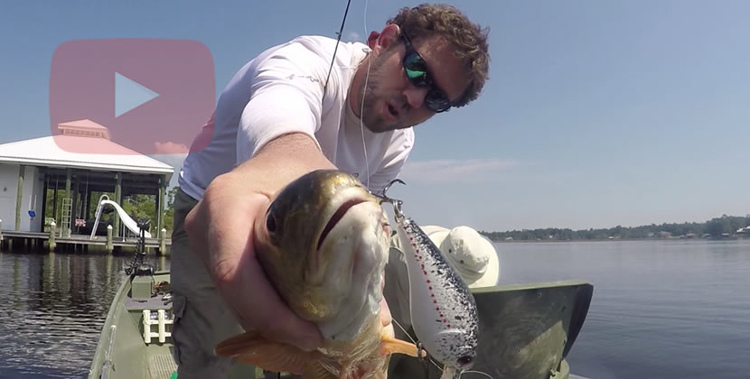 Fowl River Fishing Video - Theodore, AL - Redfish, Speckled Trout, Largemouth Bass - September 25th, 2016